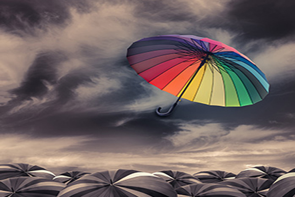 about-3 as Multimedia, WEB/GRAPHIC DESIGN & MARKETING SOLUTIONS